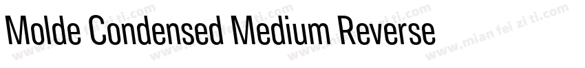 Molde Condensed Medium Reverse字体转换